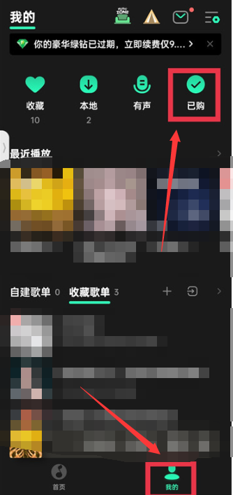 qq音乐音乐包在哪里找[图2]