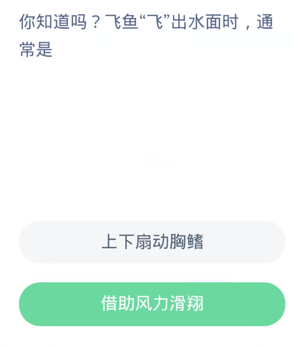 蚂蚁森林神奇海洋11月8日：飞鱼飞出水面时通常是[图2]