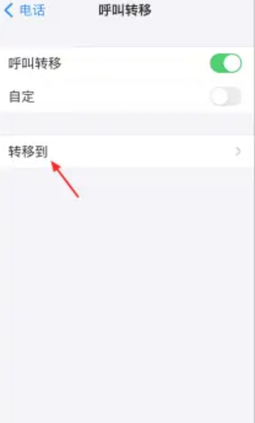 苹果手机呼叫转移怎么设置[图5]