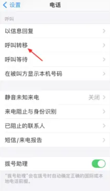 苹果手机呼叫转移怎么设置[图3]