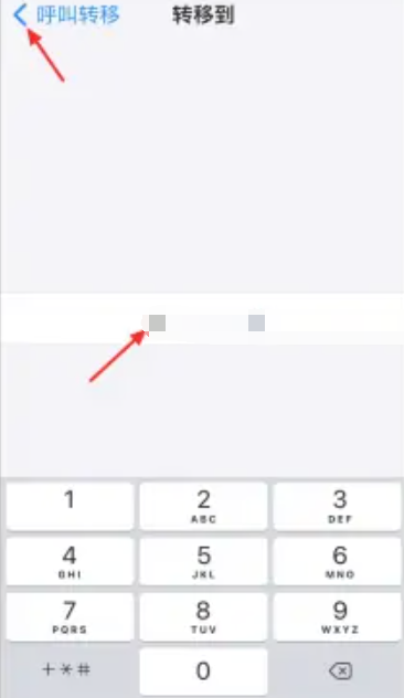 苹果手机呼叫转移怎么设置[图6]