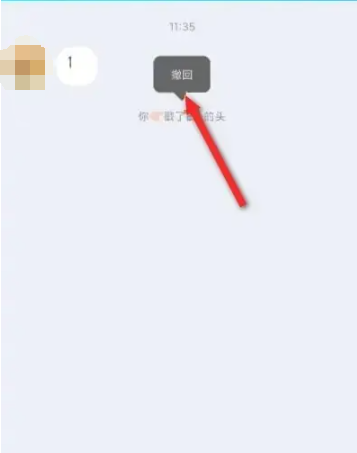 qq拍一拍怎么撤回[图4]