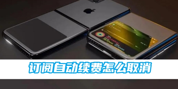 苹果订阅自动续费怎么取消[图1]