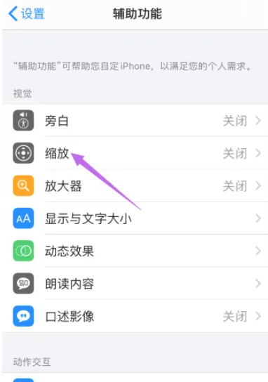 苹果缩放功能怎么设置[图3]