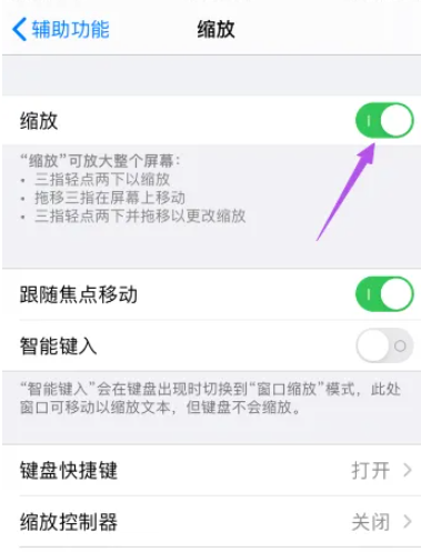 苹果缩放功能怎么设置[图5]