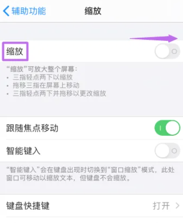 苹果缩放功能怎么设置[图4]