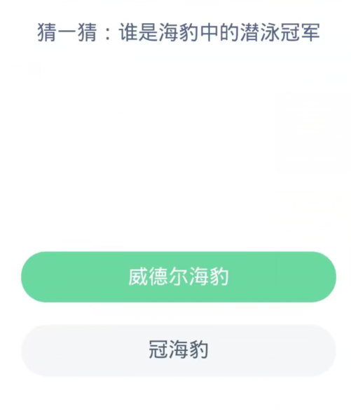 蚂蚁森林神奇海洋11月17日：谁是海豹中的潜泳冠军[图2]