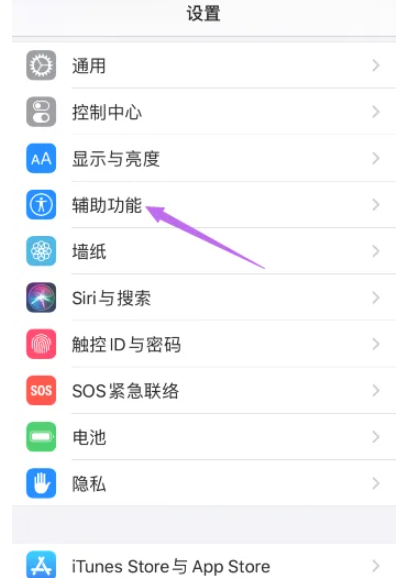 苹果缩放功能怎么设置[图2]
