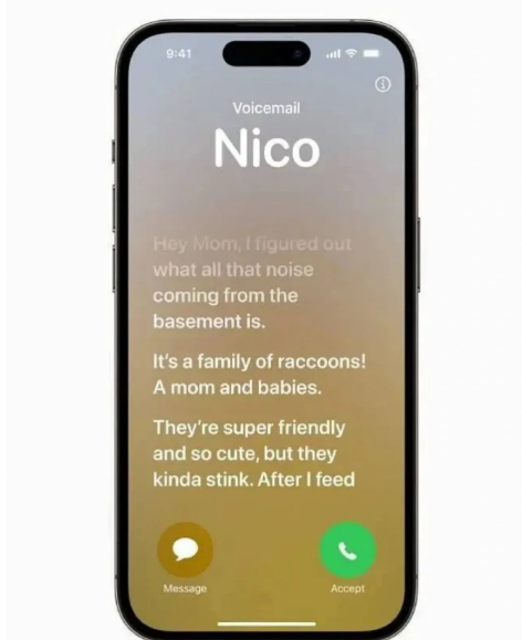 ios17新增哪些功能[图3]