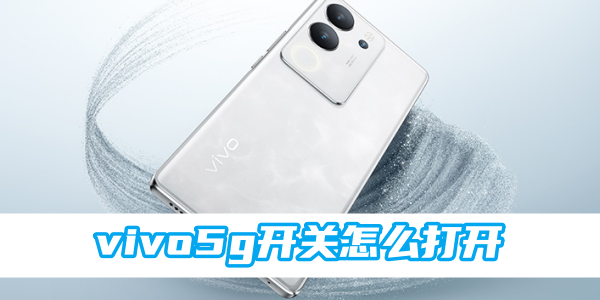 vivo5g开关怎么打开[图1]