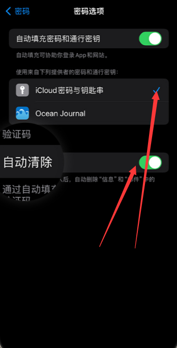 ios17自动删除验证码怎么设置[图4]