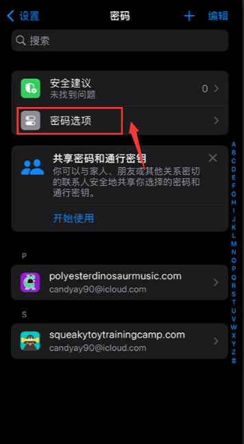 ios17自动删除验证码怎么设置[图3]