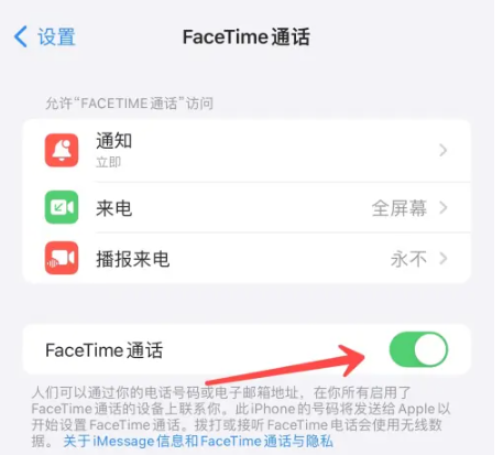苹果facetime通话怎么设置[图4]