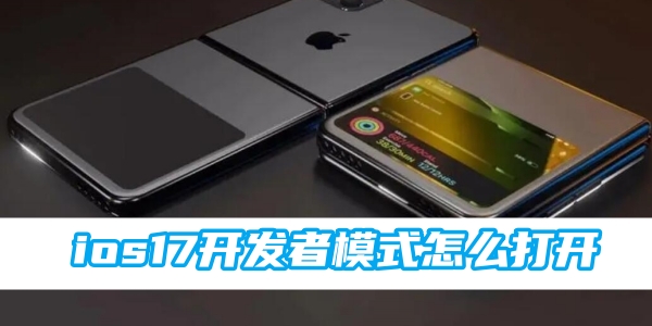 ios17开发者模式怎么打开[图1]