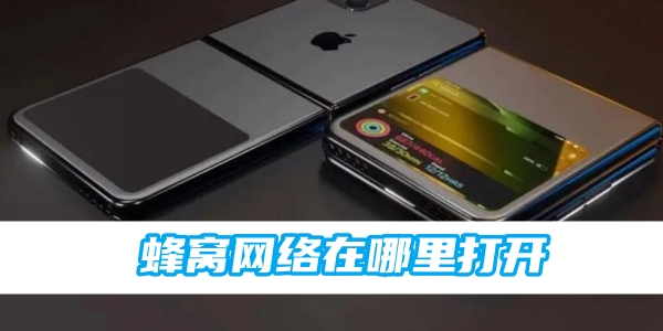 蜂窝网络在哪里打开[图1]