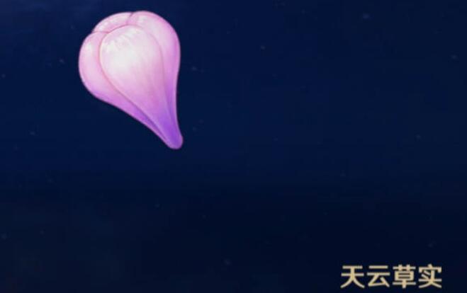 原神图形对抗实验录第五天攻略[图12]
