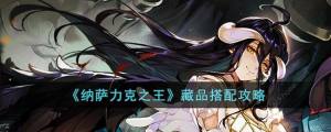 纳萨力克之王藏品搭配攻略 藏品有哪些[图1]