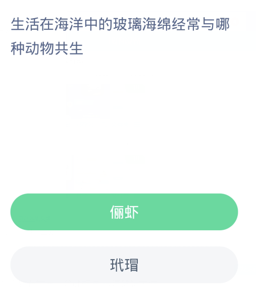 蚂蚁森林神奇海洋11月26日：生活在海洋中的玻璃海绵经常与哪种动物共生[图2]