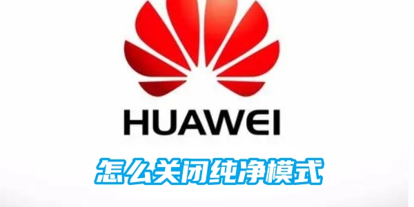 华为手机怎么关闭纯净模式[图1]