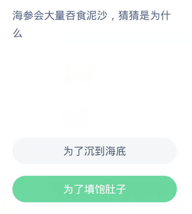 蚂蚁森林神奇海洋11月30日：海参会大量吞食泥沙猜猜是为什么[图2]