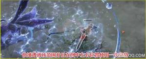 命运方舟暗夜妖狐怎么打 讨伐星辰护卫5-3速通打法攻略[图6]