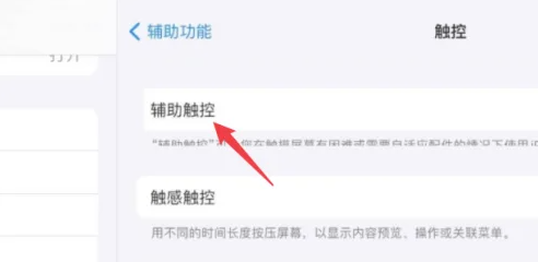 ipad如何调出悬浮球[图3]