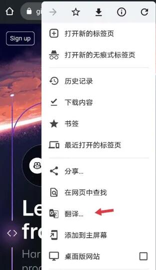 谷歌浏览器怎么翻译成中文[图3]