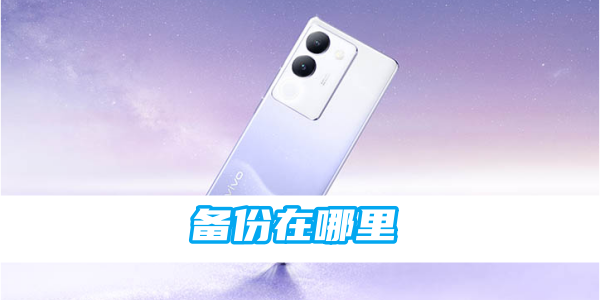 vivo手机备份在哪里[图1]