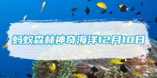 蚂蚁森林神奇海洋12月10日：海獭主要靠什么御寒[图1]