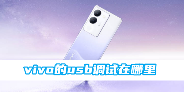 vivo的usb调试在哪里[图1]