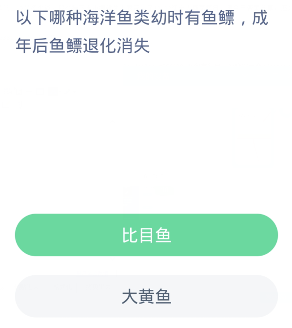 蚂蚁森林神奇海洋12月12日：以下哪种海洋鱼类幼时有鱼鳔成年后鱼鳔退化消失[图2]