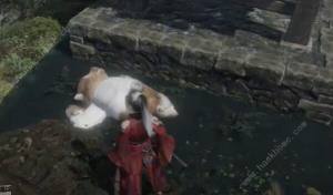 卧龙苍天陨落DLC3水畔空然村收集攻略 DLC3水畔空然村全道具位置一览[图4]