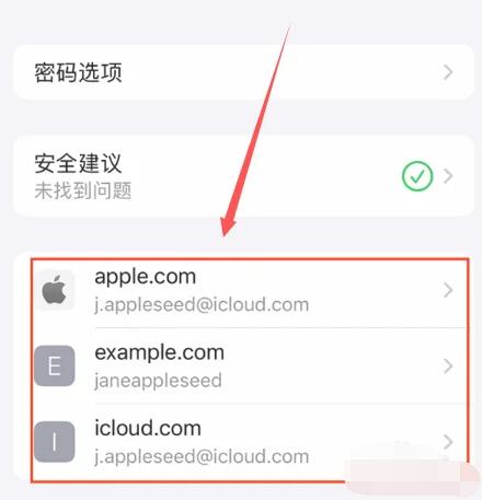 苹果怎么看存储的密码[图4]