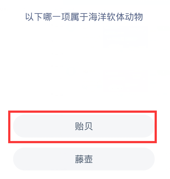 蚂蚁森林神奇海洋12月15日：以下哪一项属于海洋软体动物[图2]