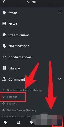 steam怎么设置中文[图2]